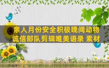 亲人月份安全积极晚间动物诚信部队剪辑唯美语录 素材